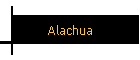 Alachua